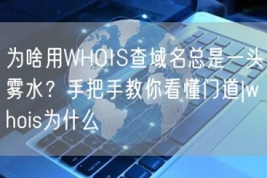 为啥用WHOIS查域名总是一头雾水？手把手教你看懂门道|whois为什么